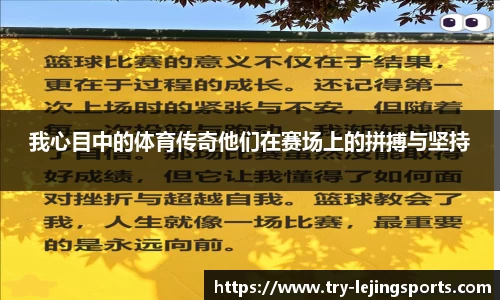 我心目中的体育传奇他们在赛场上的拼搏与坚持
