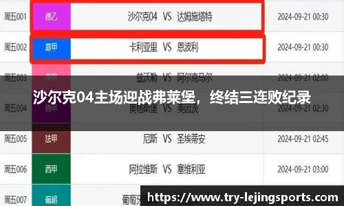沙尔克04主场迎战弗莱堡，终结三连败纪录
