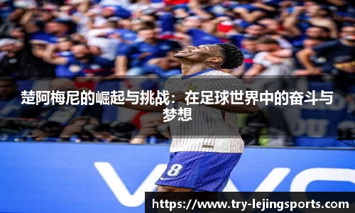 乐竞体育app