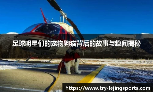 乐竞体育(中国)官方网站 - LEJING SPORTS